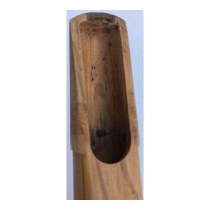 eiche1_detail2_1813016716