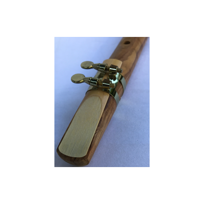 olive2_mundst